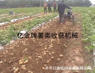 高產(chǎn)快速薯類收獲機(jī)專業(yè)制造與銷售