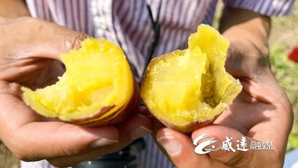 1元1斤！線上線下銷售火！威遠(yuǎn)秋季美味火爆上市！